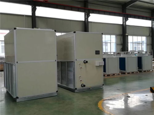 朔州加工立式直膨式空調機組免費咨詢 瑞尼森環保